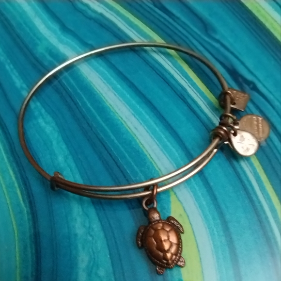 Alex and Ani Sea Turtle Charm Bracelet - Picture 2 of 13